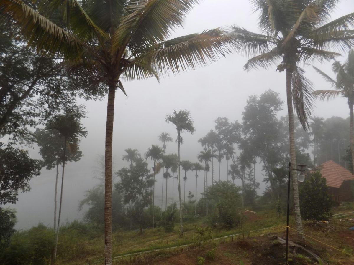 Misty Mornings Resort Ambalavayal Extérieur photo