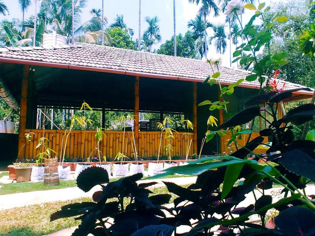 Misty Mornings Resort Ambalavayal Extérieur photo