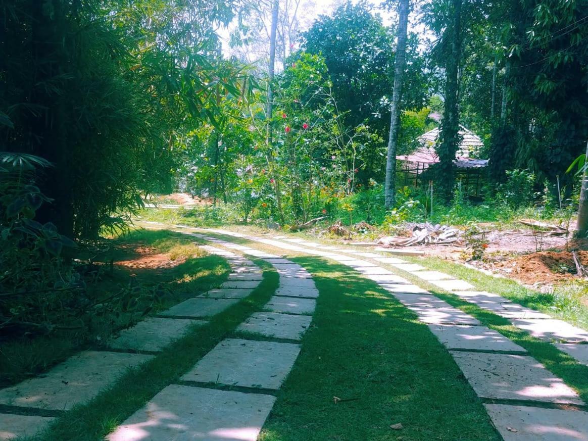 Misty Mornings Resort Ambalavayal Extérieur photo