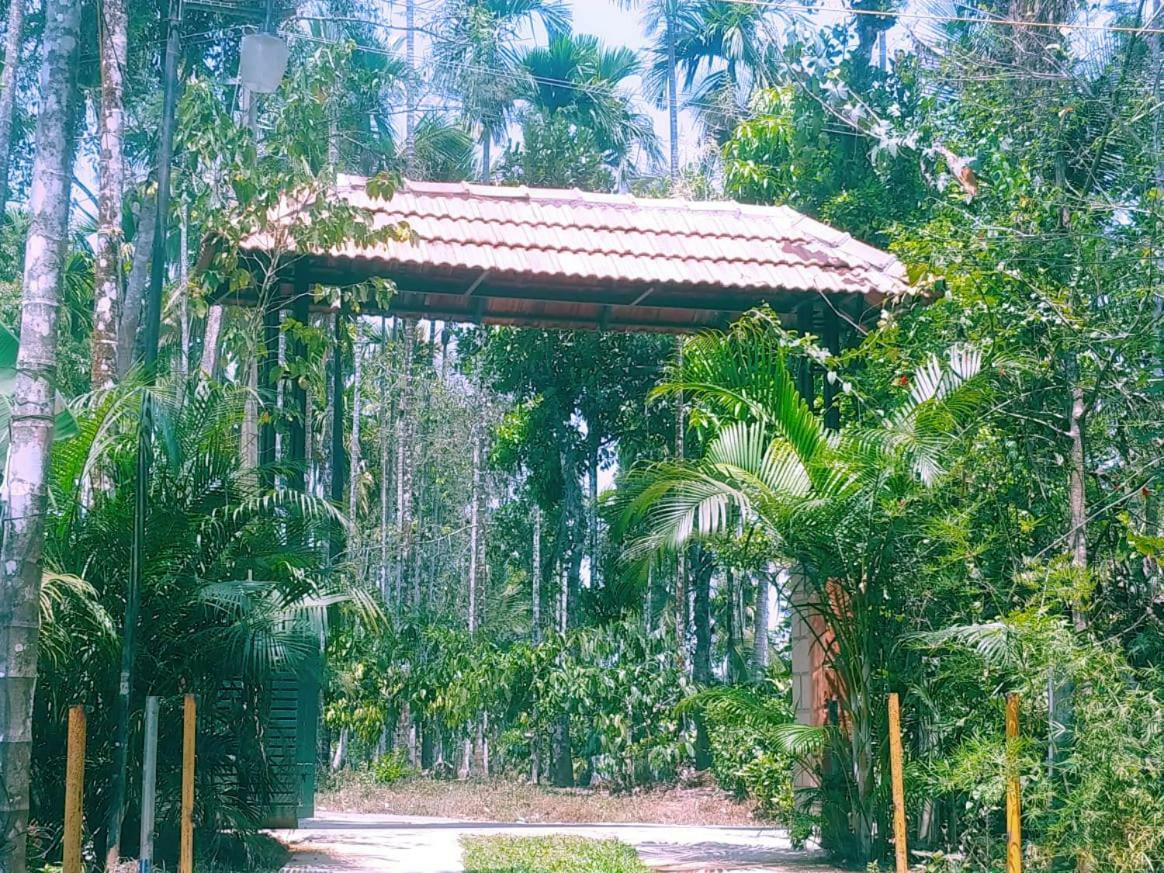 Misty Mornings Resort Ambalavayal Extérieur photo